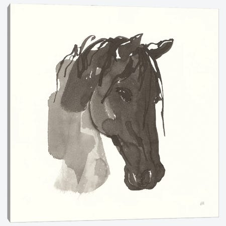 Horse Portrait I Canvas Print #CPA194} by Chris Paschke Canvas Art Print