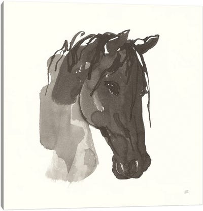 Horse Portrait I Canvas Art Print - Chris Paschke