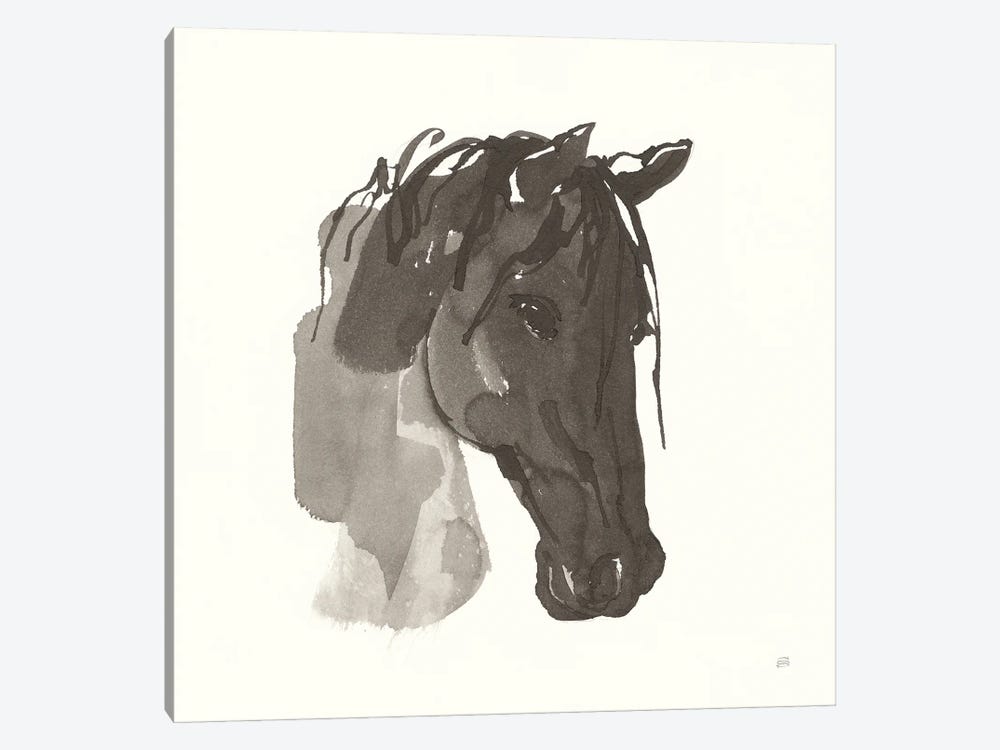 Horse Portrait I by Chris Paschke 1-piece Canvas Print