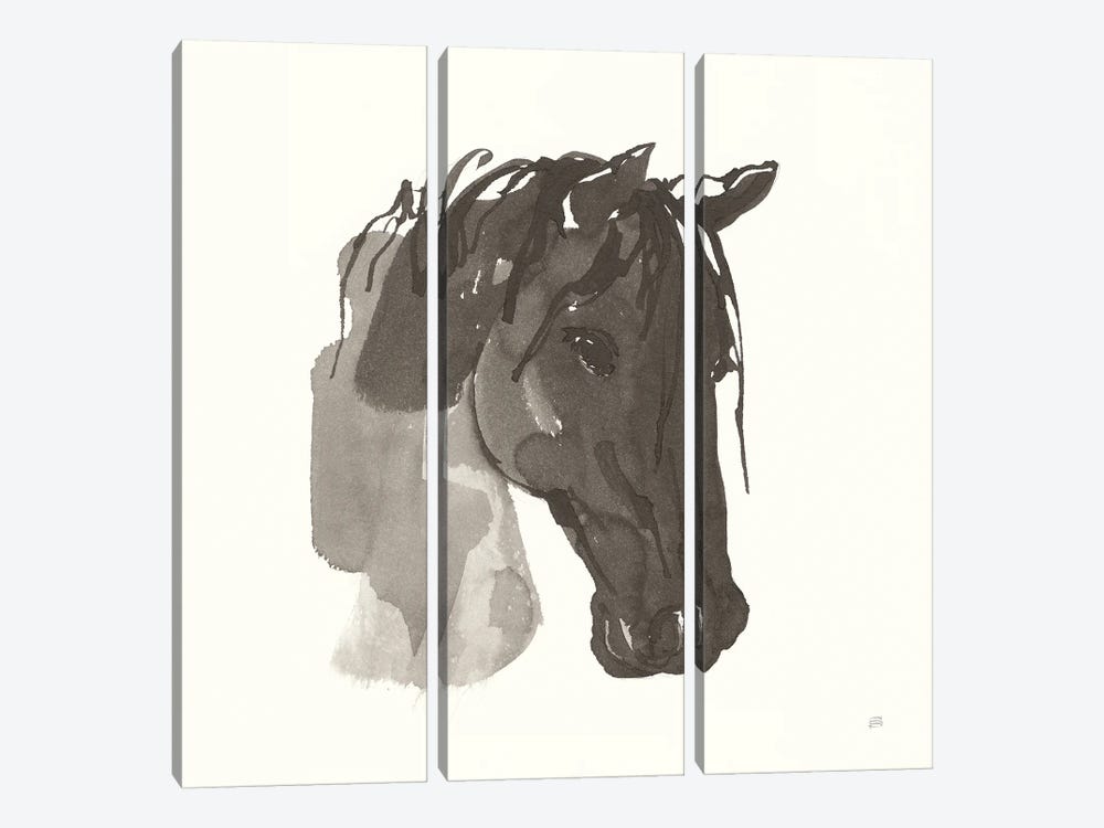 Horse Portrait I by Chris Paschke 3-piece Art Print