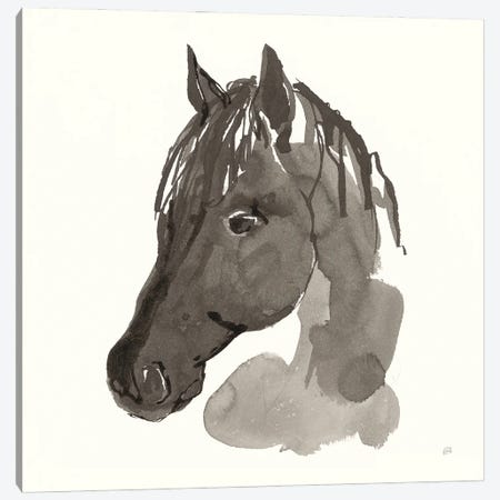 Horse Portrait II Canvas Print #CPA195} by Chris Paschke Art Print