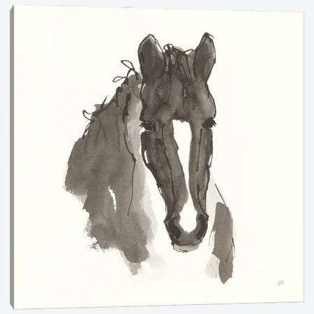 Horse Portrait III Canvas Print #CPA196} by Chris Paschke Art Print