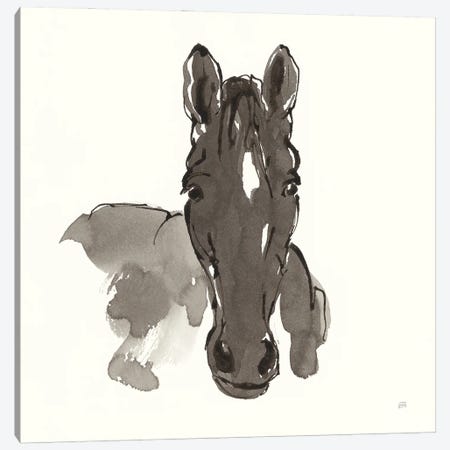 Horse Portrait IV Canvas Print #CPA197} by Chris Paschke Canvas Print