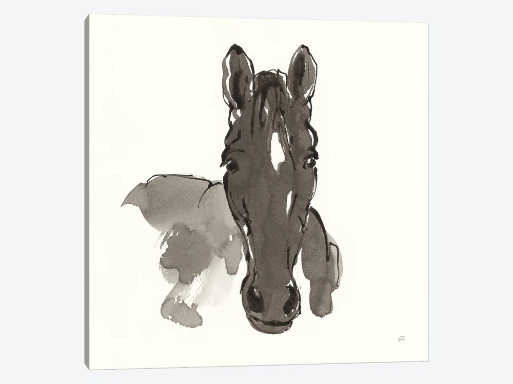 Horse Portrait IV by Chris Paschke 1-piece Canvas Art