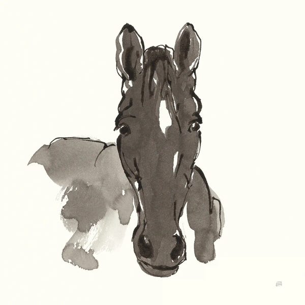 Chris Paschke: Horse Portrait IV by Chris Paschke