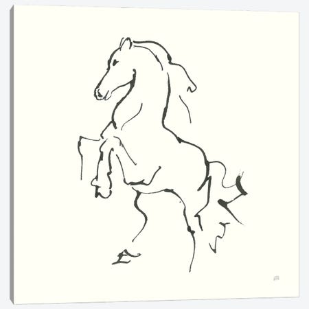 Line Horse I Canvas Print #CPA198} by Chris Paschke Canvas Art