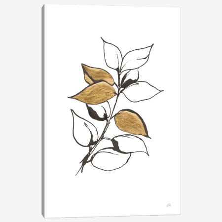 Leafed VII Canvas Print #CPA218} by Chris Paschke Canvas Print
