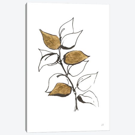 Leafed VIII Canvas Print #CPA219} by Chris Paschke Canvas Print