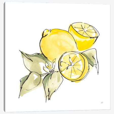 Lemon Still Life I Canvas Print #CPA257} by Chris Paschke Canvas Wall Art