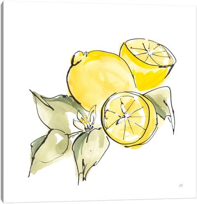 Lemon Still Life I Canvas Art Print - Mediterranean Décor