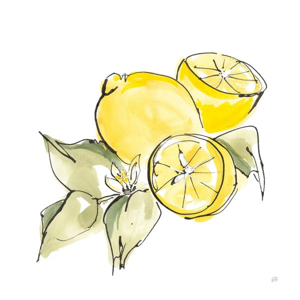 Chris Paschke: Lemon Still Life I by Chris Paschke