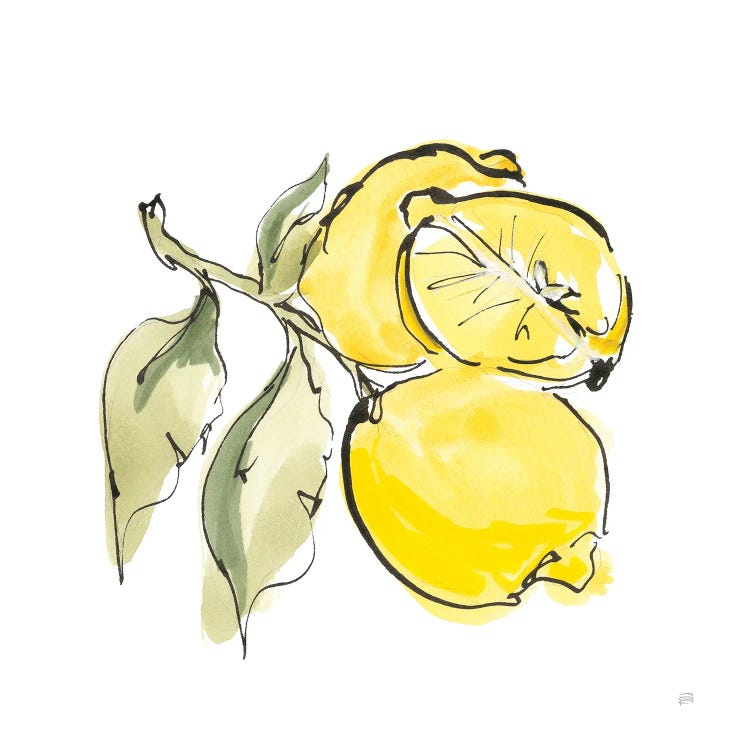 Lemon Still Life II