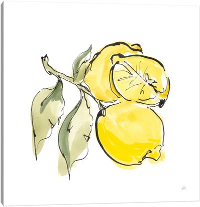 Lemon Still Life II Canvas Art Print - Mediterranean Décor