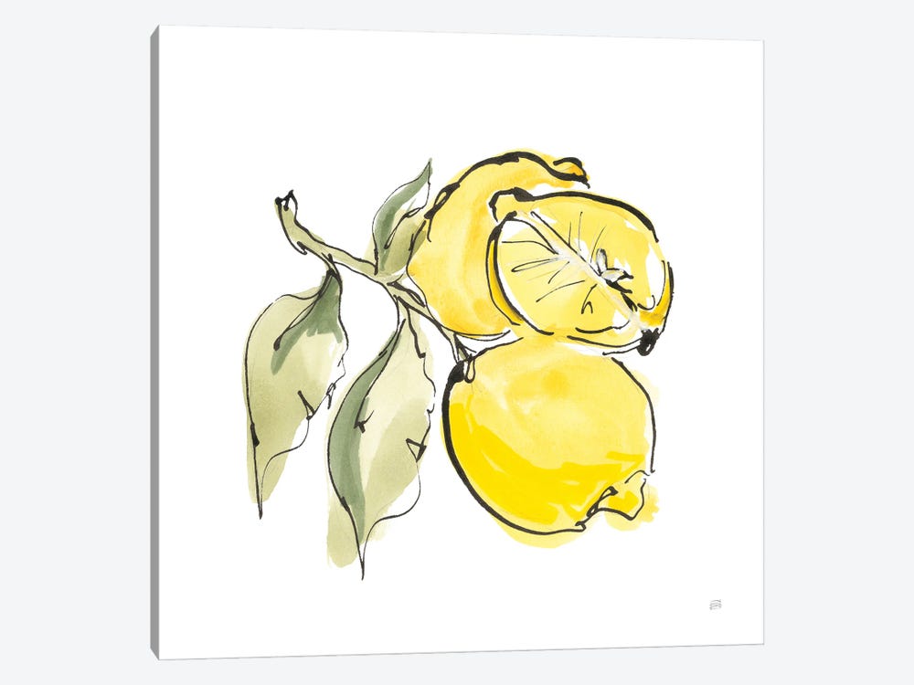 Lemon Still Life II by Chris Paschke 1-piece Canvas Art Print