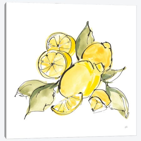 Lemon Still Life III Canvas Print #CPA259} by Chris Paschke Art Print