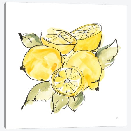 Lemon Still Life IV Canvas Print #CPA260} by Chris Paschke Canvas Art