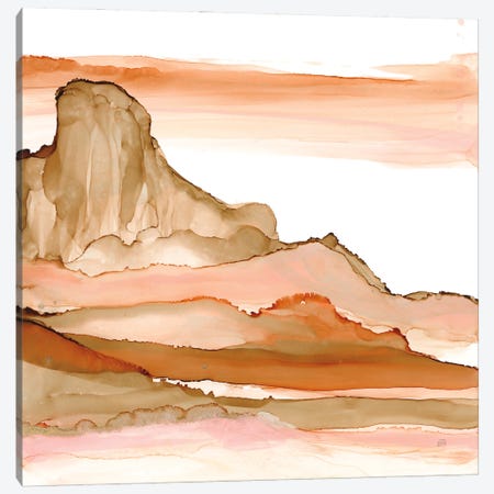 Desertscape V Canvas Print #CPA282} by Chris Paschke Canvas Artwork