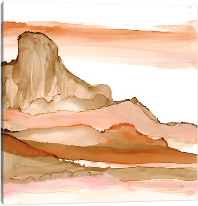 Desertscape V Canvas Art Print - Chris Paschke