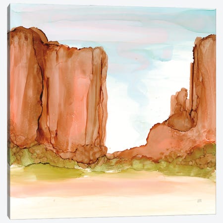 Desertscape VI Canvas Print #CPA283} by Chris Paschke Canvas Wall Art