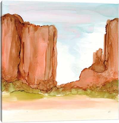 Desertscape VI Canvas Art Print - Chris Paschke