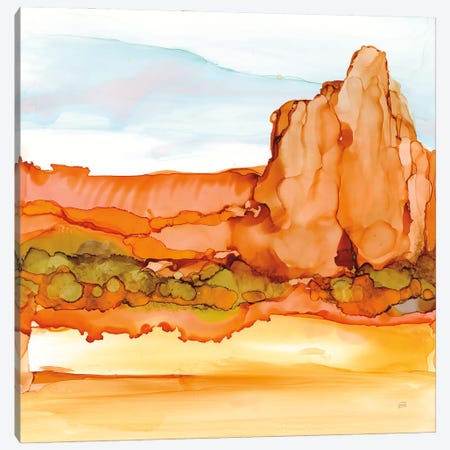 Desertscape VII Canvas Print #CPA284} by Chris Paschke Canvas Print
