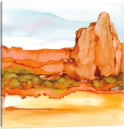 Desertscape VII Canvas Art Print - Chris Paschke