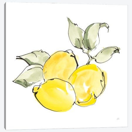 Lemons II Canvas Print #CPA299} by Chris Paschke Art Print