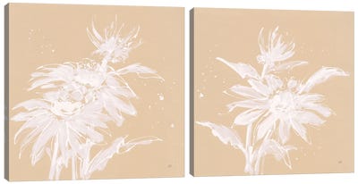 Echinacea Diptych Canvas Art Print - Chris Paschke
