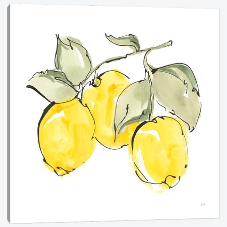 Lemons IV Canvas Print #CPA300} by Chris Paschke Art Print