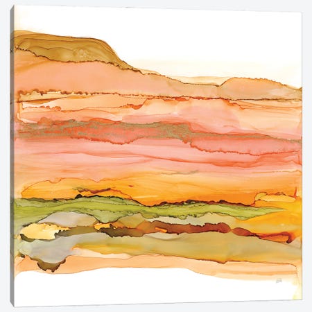 Desertscape III Canvas Print #CPA331} by Chris Paschke Canvas Artwork