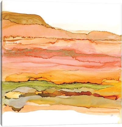 Desertscape III Canvas Art Print - Chris Paschke
