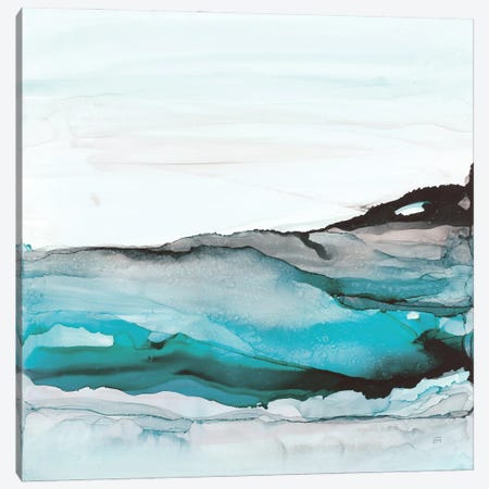 Aquascape I Canvas Print #CPA336} by Chris Paschke Canvas Print