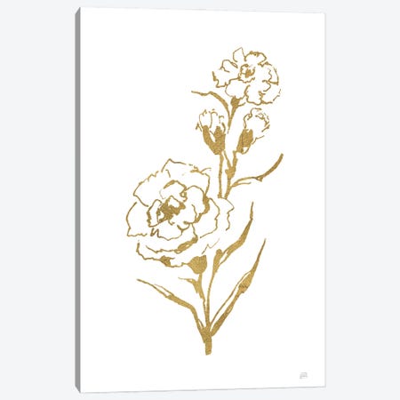 Gold Line Carnation III Canvas Print #CPA346} by Chris Paschke Canvas Artwork