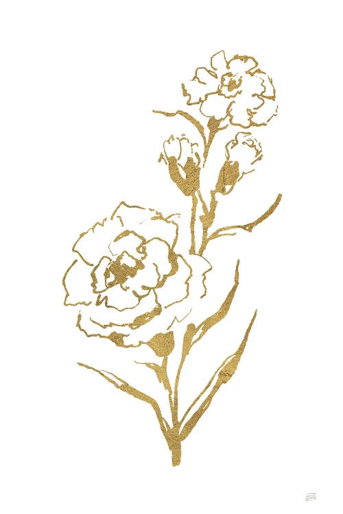 Gold Line Carnation III by Chris Paschke wall art