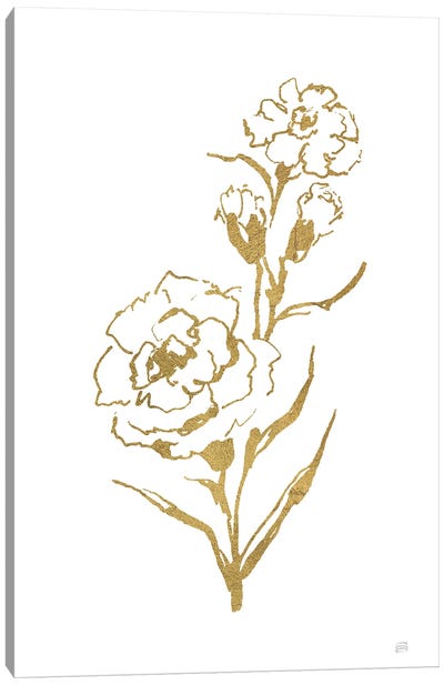 Gold Line Carnation III Canvas Art Print - Carnations