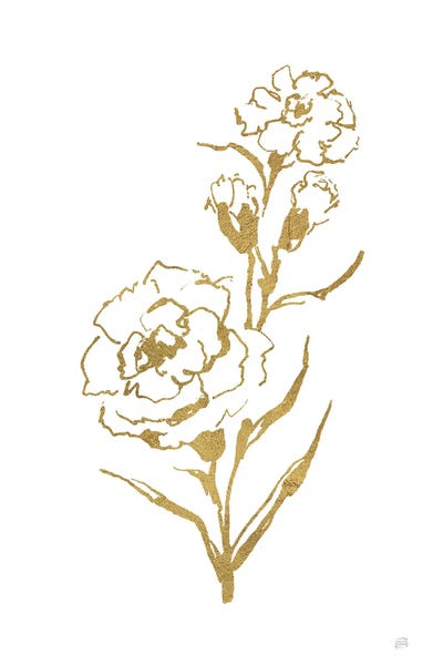 Carnations: Gold Line Carnation III by Chris Paschke