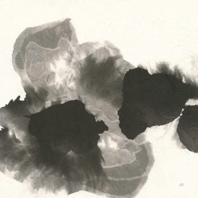 Transitions I by Chris Paschke canvas print