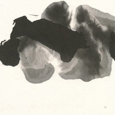 Transitions III by Chris Paschke canvas print