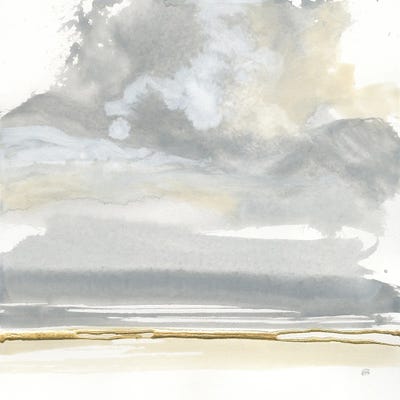 Cumulus Gray I by Chris Paschke canvas print