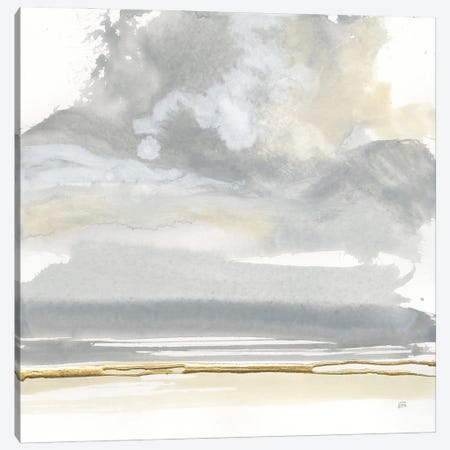 Cumulus Gray I Canvas Print #CPA362} by Chris Paschke Art Print