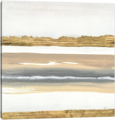 Gold and Gray Sand IV Canvas Art Print - Chris Paschke