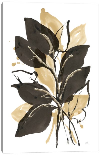 Natural Leaves II Canvas Art Print - Chris Paschke