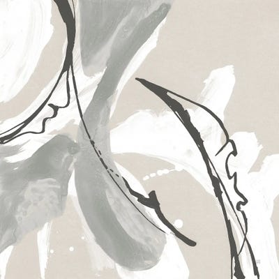 Touch of Gray VI by Chris Paschke canvas print