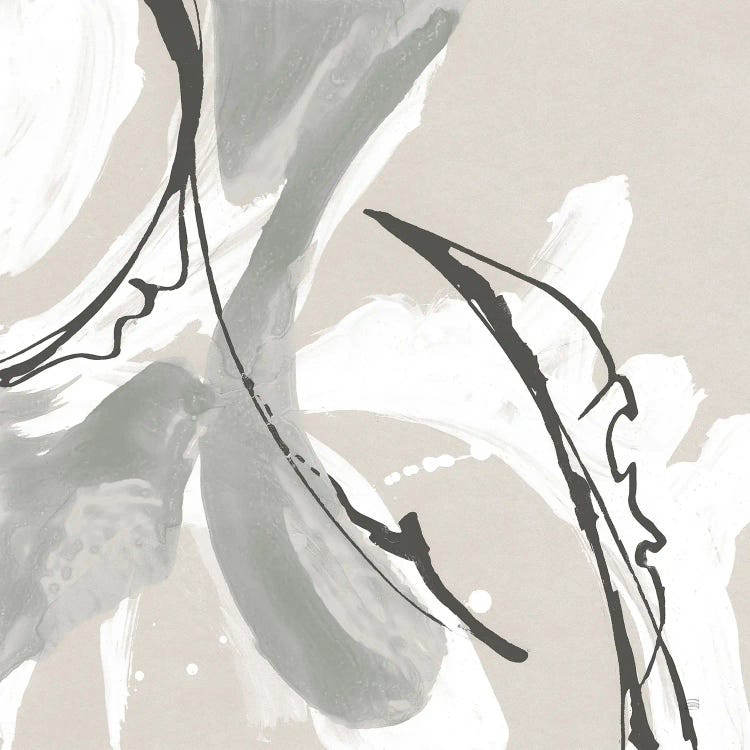 Touch of Gray VI by Chris Paschke wall art