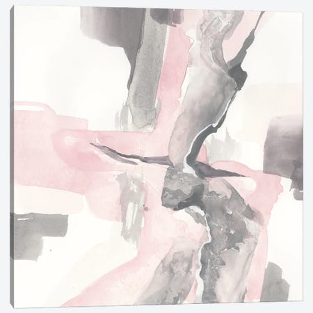 Blushing Grey I Canvas Print #CPA38} by Chris Paschke Canvas Artwork
