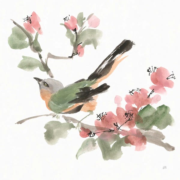 Fine Art Print: Bird and Blossoms IV by Chris Paschke