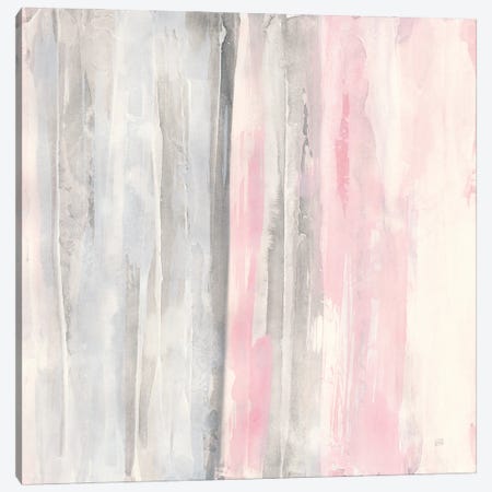 Whitewashed Blush I Canvas Print #CPA50} by Chris Paschke Canvas Art