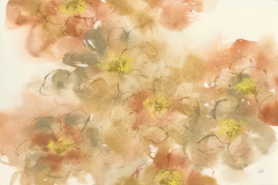 Freesias