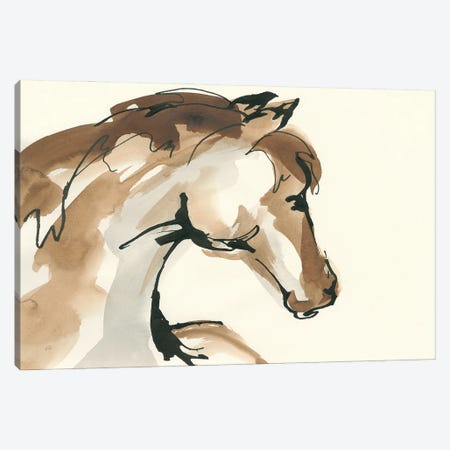 Horse Head I Canvas Print #CPA58} by Chris Paschke Canvas Wall Art