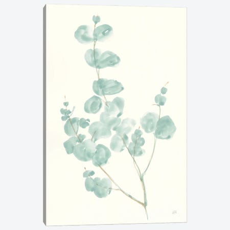 Eucalyptus Branch I Canvas Print #CPA93} by Chris Paschke Canvas Art